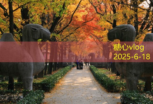 一个人拍婚纱照，独自演绎爱的浪漫