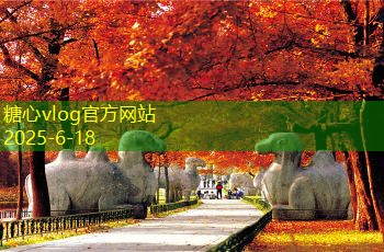 三亚婚纱照拍摄攻略 如何选择最美拍摄地点和风格