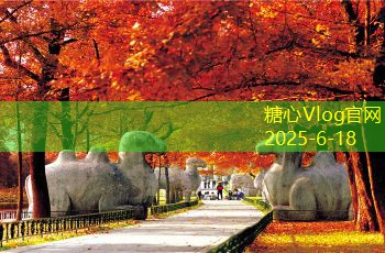 下雨天也能拍出美丽婚纱照的方法与技巧