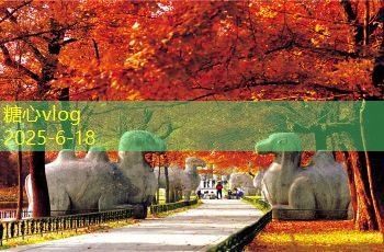 全球旅拍婚纱摄影让爱侣定格最美瞬间