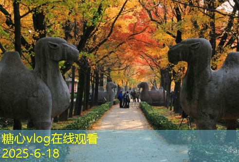 到拍婚纱照之前必看这些准备技巧