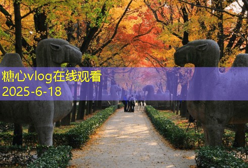 三亚旅拍婚纱照推荐，完美定格你们的浪漫瞬间