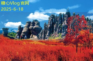 上海拍婚纱摄影，打造属于你的浪漫回忆