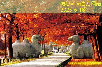 九江婚纱摄影最受欢迎的拍摄地点与技巧
