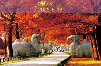 冬天拍婚纱照如何选择合适的拍摄地点与搭配技巧