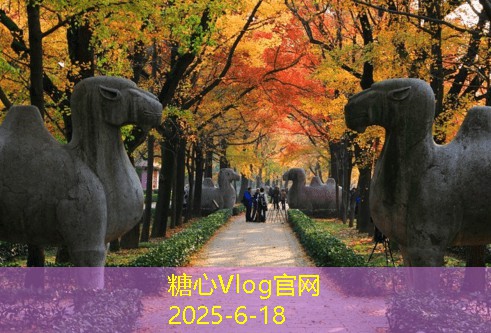 刚怀孕可以拍婚纱照吗