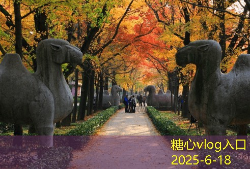 北京婚纱旅拍：如何在这座古老与现代交织的城市定格爱情的美丽