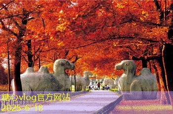一般拍婚纱照多少钱 价格差异与选择攻略