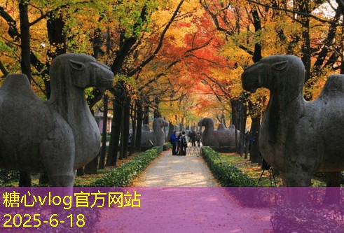 三亚旅拍婚纱照打造浪漫婚礼记忆
