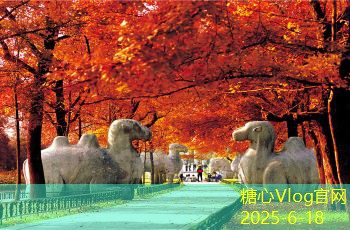 三亚旅拍婚纱照攻略，如何打造完美婚纱照体验