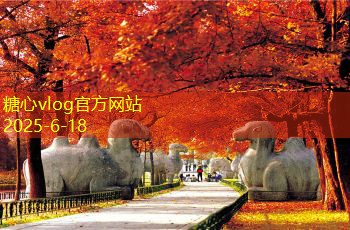 东莞拍婚纱照多少钱才算合理实惠