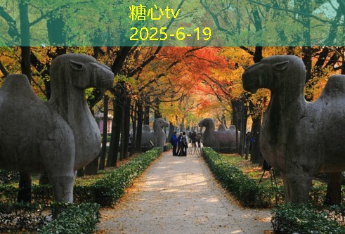三亚婚纱照拍摄推荐最佳景点与拍摄技巧