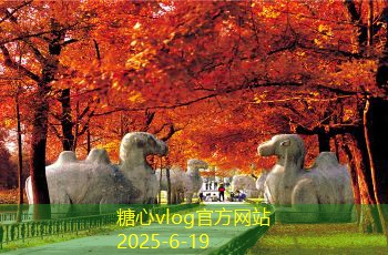 三亚婚纱旅拍：浪漫与自然完美融合的婚纱摄影之选