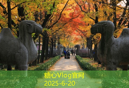 三亚旅拍婚纱照攻略，如何打造完美婚纱照体验