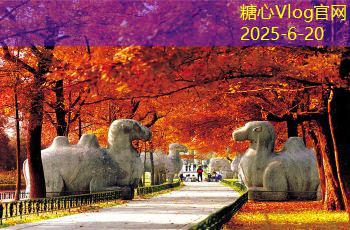 上海拍婚纱摄影，打造属于你的浪漫回忆