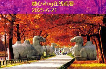 三亚旅拍婚纱摄影如何选择最适合的拍摄风格