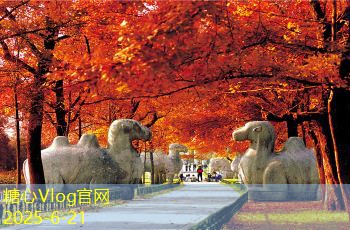 下雨天拍婚纱照为何成为新潮流？不可忽视的魅力与技巧