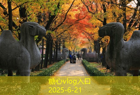 三亚旅拍婚纱摄影如何选择最适合的拍摄风格