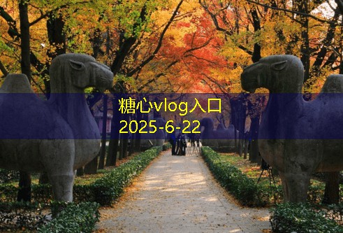三亚婚纱照拍摄价格如何影响预算选择