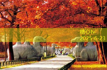 一个人拍婚纱照，独自演绎爱的浪漫