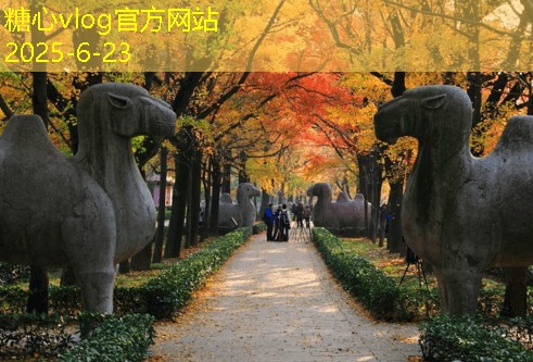 三亚婚纱摄影攻略让你的婚纱照更有质感