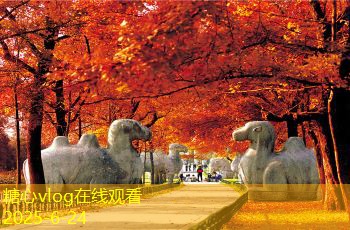 三亚婚纱摄影攻略让你的婚纱照更有质感