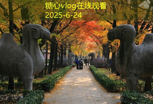 上海拍婚纱摄影，打造属于你的浪漫回忆