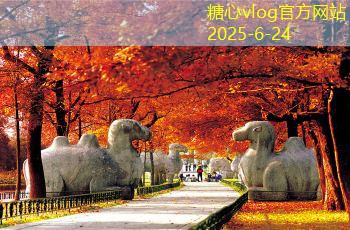 下雨天也能拍出美丽婚纱照的方法与技巧