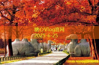 三亚拍婚纱照好选择吗探索三亚婚纱照拍摄的优势与体验
