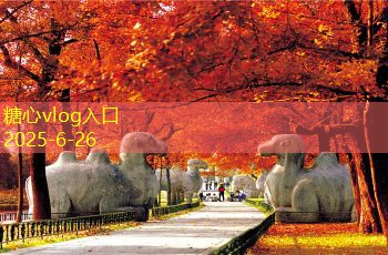三亚婚纱照拍摄攻略 如何选择最美拍摄地点和风格