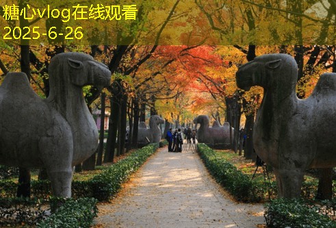 三亚拍婚纱照的费用大概是多少详细解析