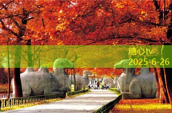 不想拍婚纱照你并不孤单这三种理由或许能打破你的顾虑