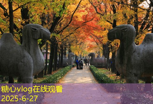 一个人拍婚纱照，独自演绎爱的浪漫