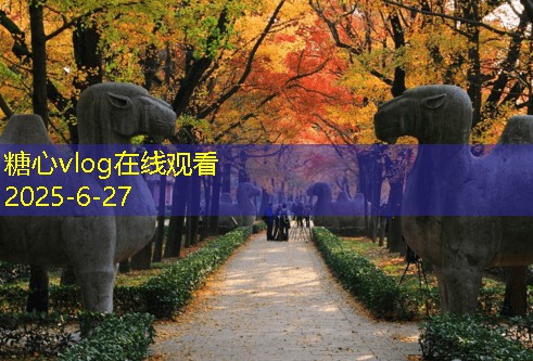 下雨天也能拍出美丽婚纱照的方法与技巧