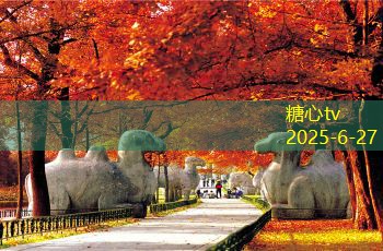 三亚婚纱照拍摄攻略 如何选择最美拍摄地点和风格