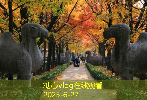 上海婚纱照拍摄攻略 让你的婚礼更完美