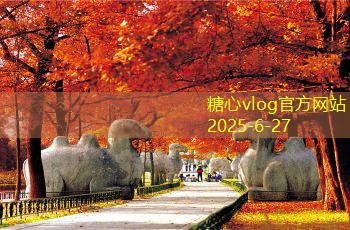 不拍婚纱照也能拥有完美婚礼的理由