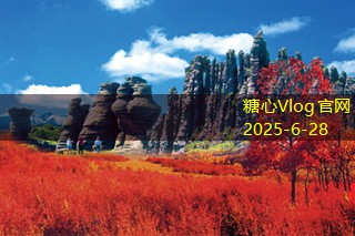 三亚旅拍婚纱摄影：与爱同行，感受浪漫海岸的魅力