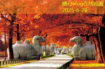 三亚旅拍婚纱照攻略，如何打造完美婚纱照体验