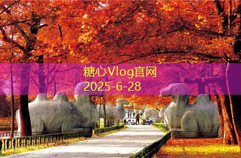 三亚拍婚纱照好选择吗探索三亚婚纱照拍摄的优势与体验