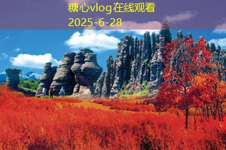 上海拍婚纱照多少钱 影响价格的因素分析及选择建议
