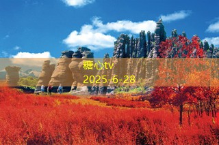 什么软件可以拍婚纱照，助你轻松记录美好时刻