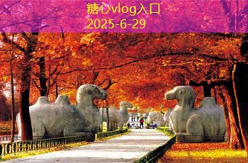 三亚婚纱照拍摄攻略 如何选择最美拍摄地点和风格