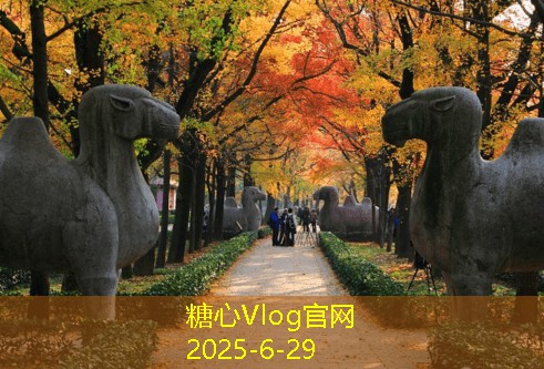 上海婚纱照拍摄攻略 让你的婚礼更完美