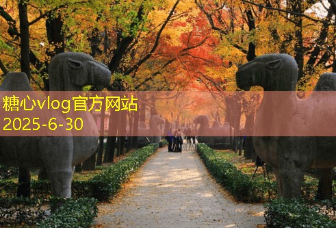 三亚旅拍婚纱摄影如何选择最适合的拍摄风格