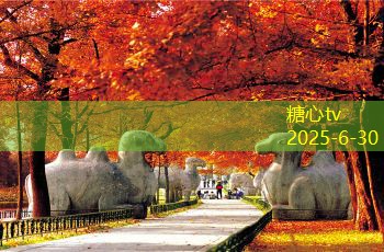 下雨天也能拍出美丽婚纱照的方法与技巧