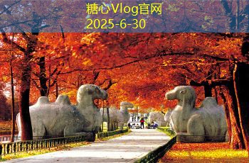 伯爵婚纱旅拍：让你实现梦幻婚礼与独特旅程的完美结合