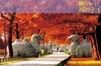 三亚旅拍婚纱摄影：与爱同行，感受浪漫海岸的魅力