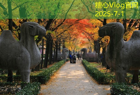 三亚旅拍婚纱照攻略，如何打造完美婚纱照体验