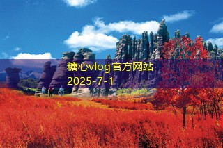 上海拍婚纱摄影，打造属于你的浪漫回忆